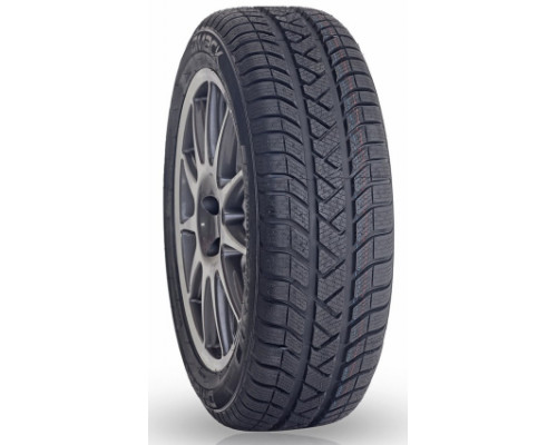 Dmack WinterSafe 205/55 R16 91H