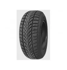 Diplomat Winter HP 205/55 R16 91H