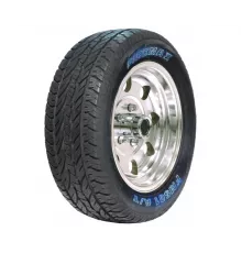 Firemax FM501 A/T 225/65 R17 102T